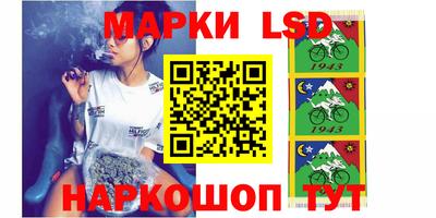 крисы Пенза