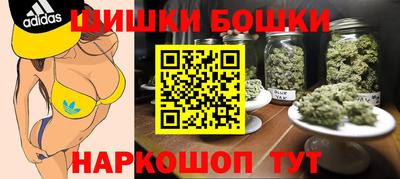 крисы Пенза