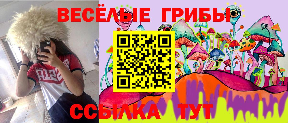 Галлюциногенные грибы мицелий Люберцы