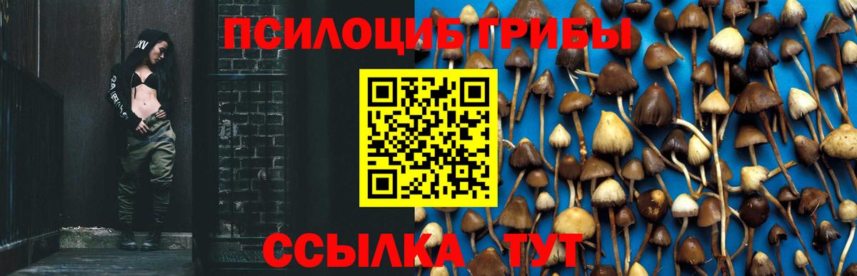 Люберцы  Галлюциногенные грибы Psilocybe  Вход с VPN 